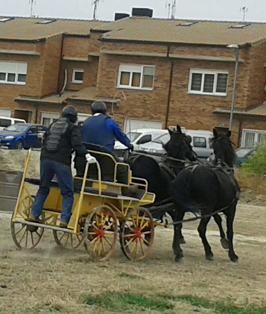 2ª Fase Campeonato Navarra de Enganches
